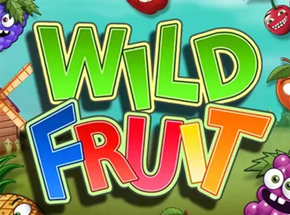 Jogo de bingo profissional n 5